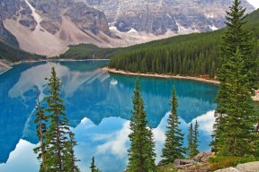 MILANSPORT下载-职业联赛引援机制是否抑制本土发展，lpl引援规则