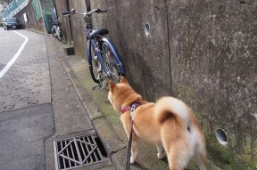 米兰体育-皇马青训再出新星，球队未来充满期待