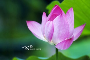 MILANSPORT下载-国际热身赛中国女足战平 球迷对新教练寄予厚望，2021女国足