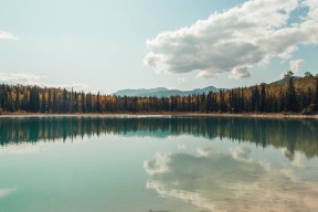 米兰登录入口-“彼得森的出色发挥，帮助南非羚羊队抵御强敌”