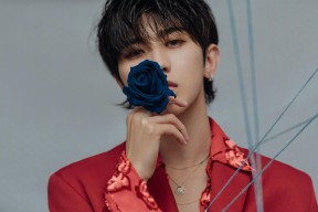 米兰体育APP-黄蜂官方微博回应球迷建议展现亲民形象，黄蜂全场回放