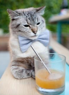 中国三人女篮战术配合日益成熟，中国三人女篮百度百科