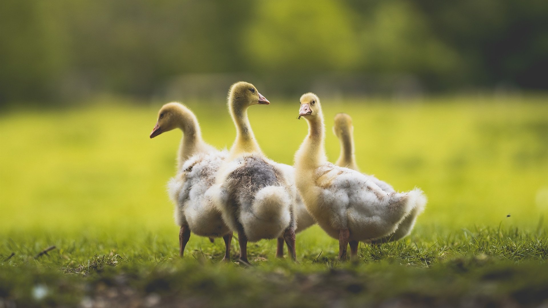 体测新规落实助推校园体育发展,学校开展体质测试的意义