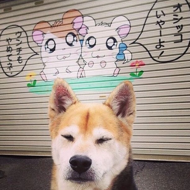 体育新闻中心发布体育创作者激励机制实施细则,体育撰稿人