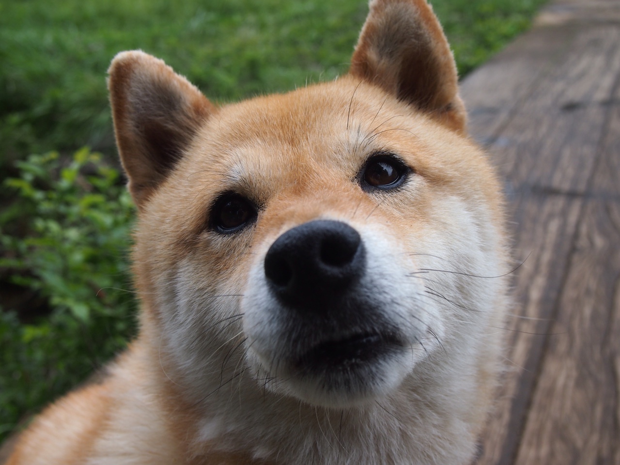 体育新闻中心发布体育创作者激励机制实施细则,体育撰稿人