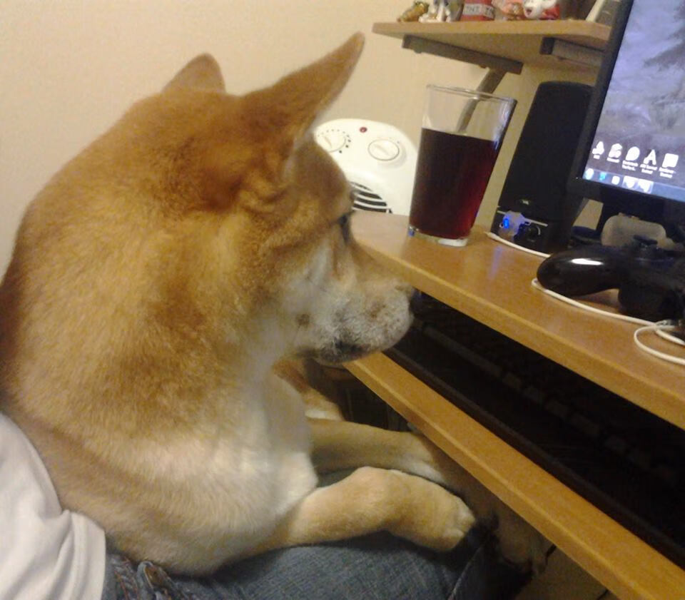 印度赛制深度剖析：打造本土球员的全球竞争力，印度参赛