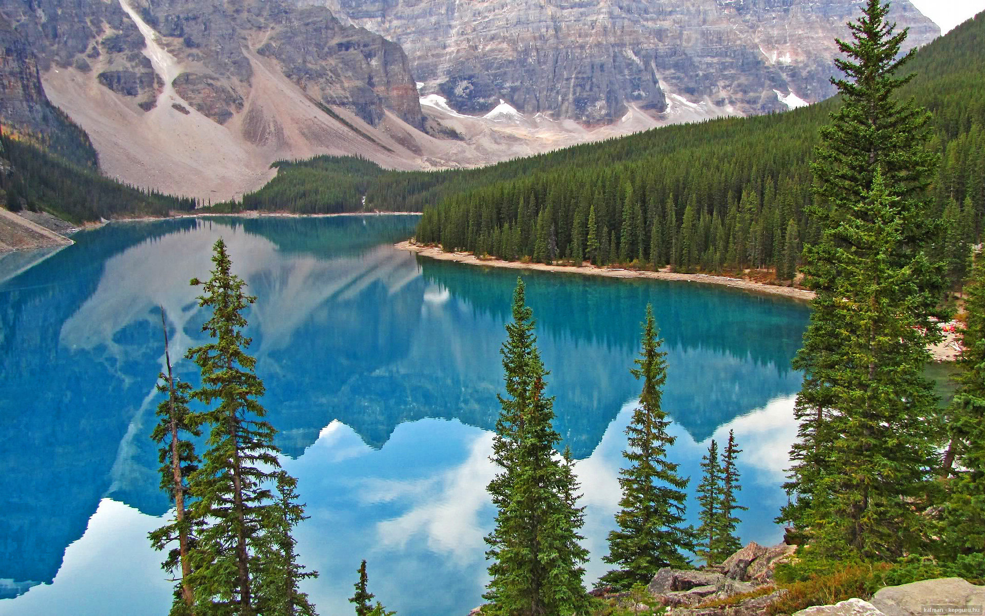 职业联赛引援机制是否抑制本土发展,lpl引援规则