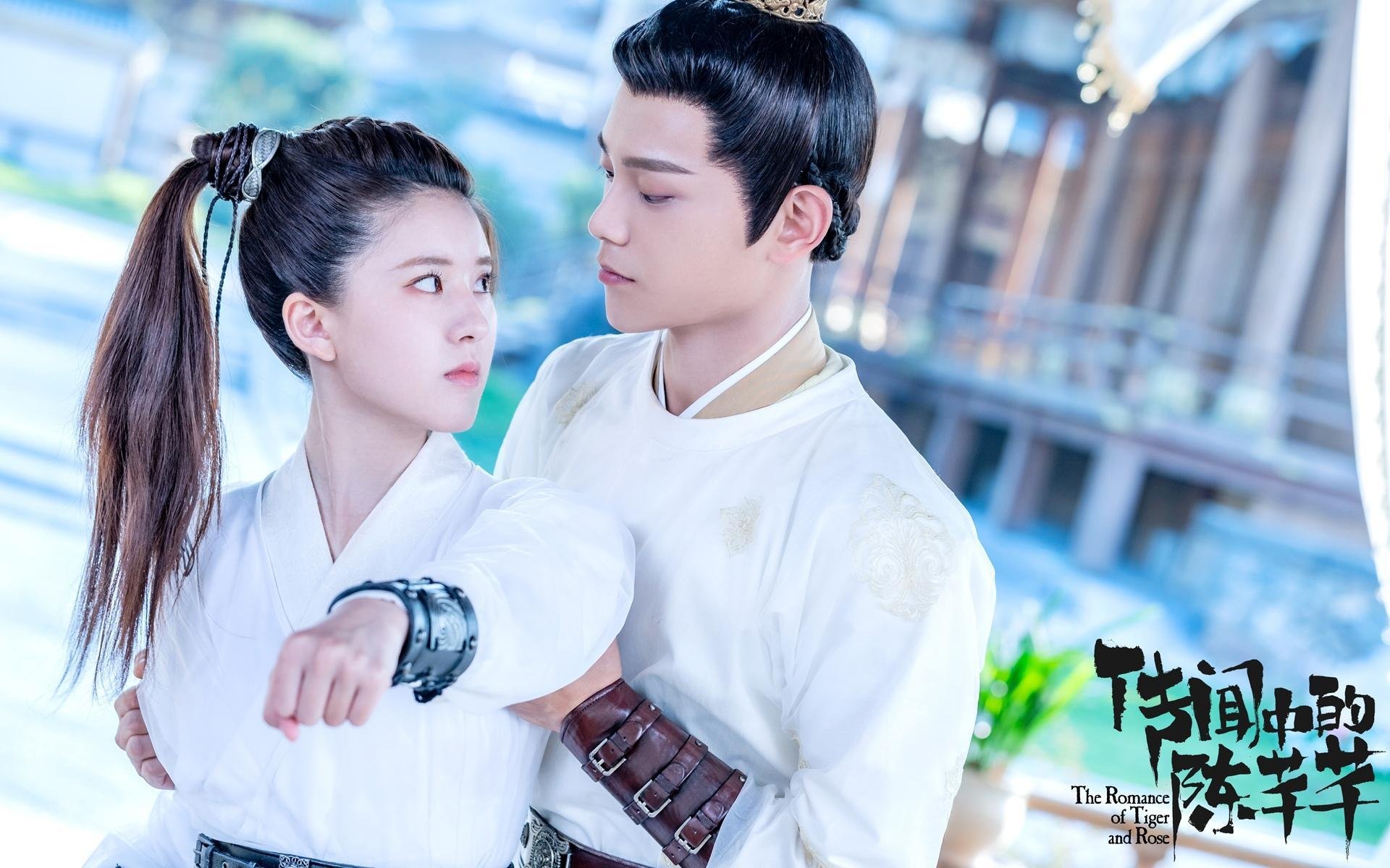 欧洲杯战术变革:奇兵布阵引领新潮流!,欧洲杯战前分析