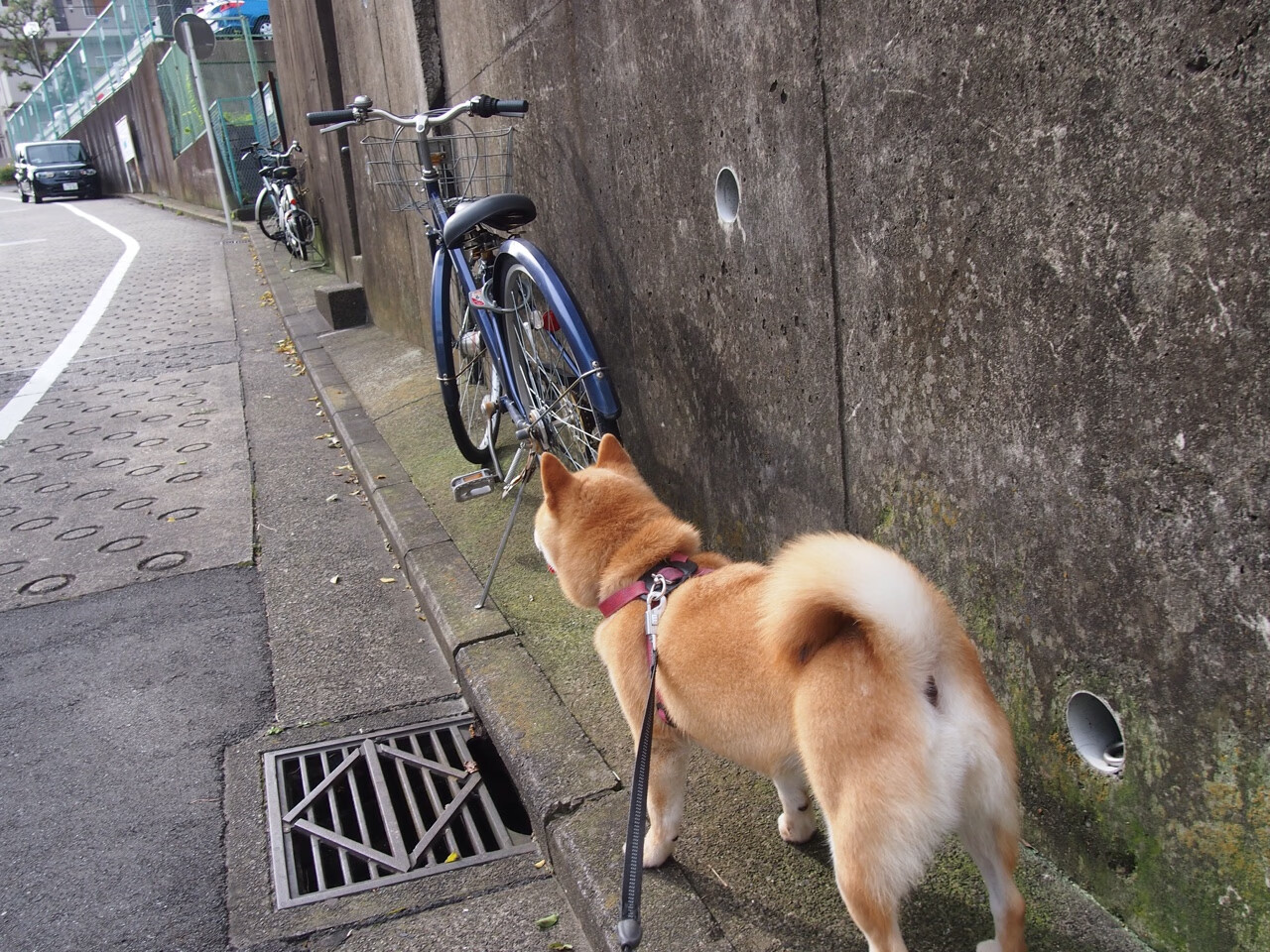 皇马青训再出新星，球队未来充满期待