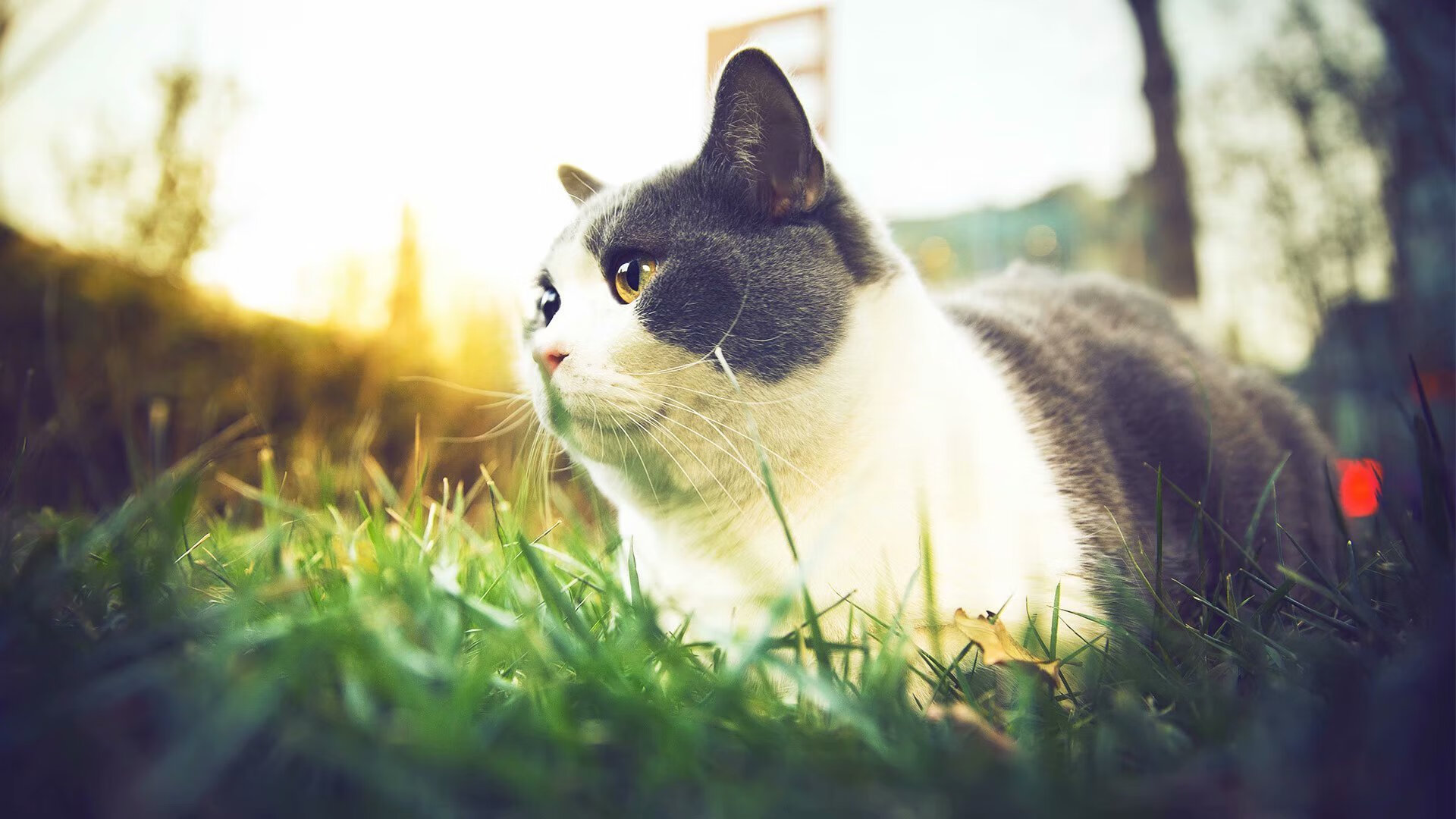 英国男子接力赛场发挥赢得教练肯定,接力 英国