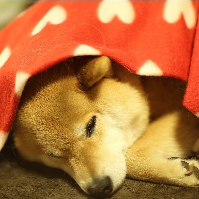 英国男子接力赛场发挥赢得教练肯定,接力 英国