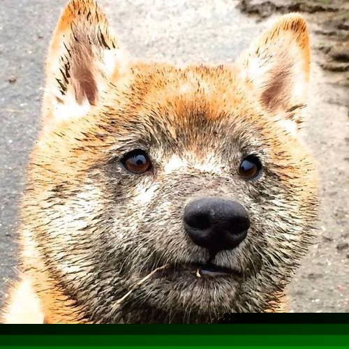 蛙泳新秀摩纳哥刷新个人纪录,摩纳哥泳池