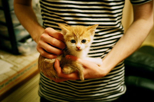 道格拉斯决赛中展现强大心理素质，道格拉斯体育